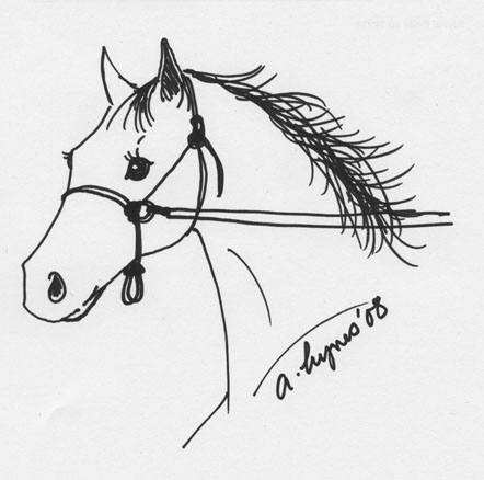 horse-and-rope-halter-illustration72.jpg